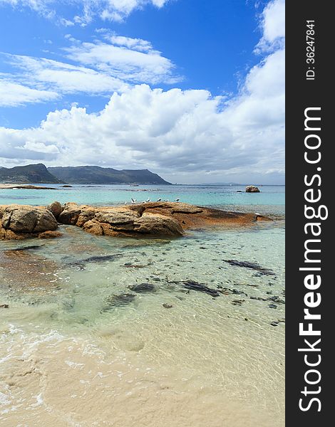 Boulders Beach - Cape Town