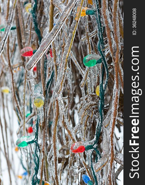 Outdoors Christmas Tree Frozen in Crude Winter