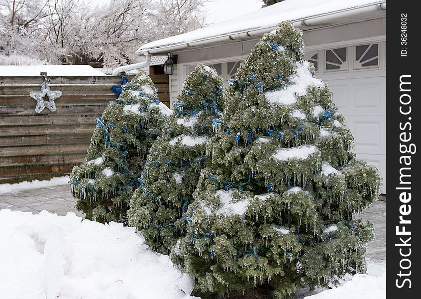 Views and details after an ice storm