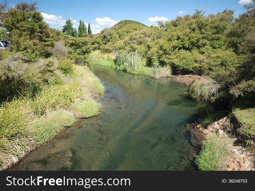 Source of water. Spring in North Island. New Zealand