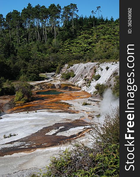 Silica terraces in Orakei Korako Hidden Valley. Between Taupo and Rotorua. North Island. New Zealand