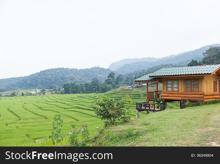 Home Adjacent Rice Fields