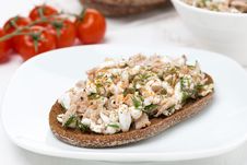 Rye Bread With Tuna And Homemade Cheese Stock Photo Rye Bread With Tuna And Homemade Cheese Stock Photo