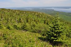 Cadillac Mountain In Acadia National Park, Maine Stock Photos Cadillac Mountain In Acadia National Park, Maine Stock Photos