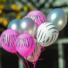 Pink And White Zebra Balloons At Breast Cancer Awareness Royalty Free Stock Photos Pink And White Zebra Balloons At Breast Cancer Awareness Royalty Free Stock Photos
