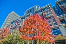 Autumn View Of A City Skyline Royalty Free Stock Image Autumn View Of A City Skyline Royalty Free Stock Image