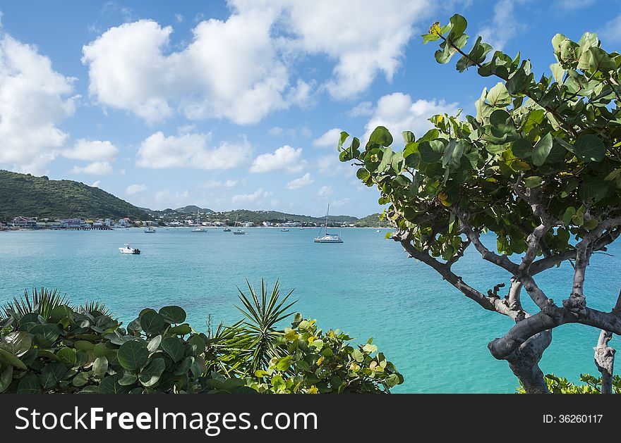 A view of the Caribbean sea dotted with boats and trees in the foreground. A view of the Caribbean sea dotted with boats and trees in the foreground.