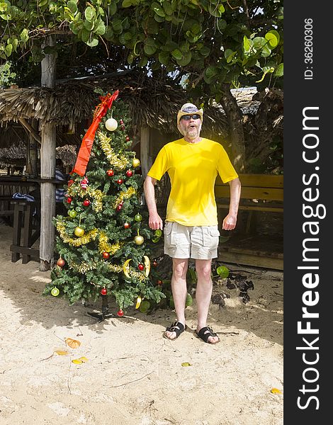 Man Standing Besides a Christmas Tree on a Beach