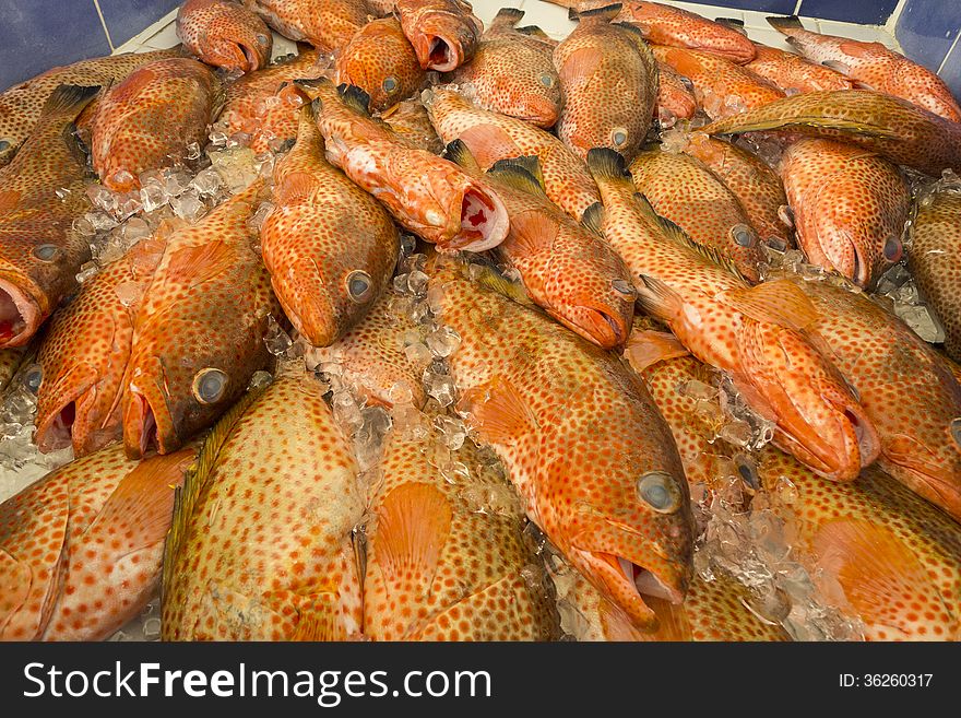 Pile Of Parrot Fish In A Market