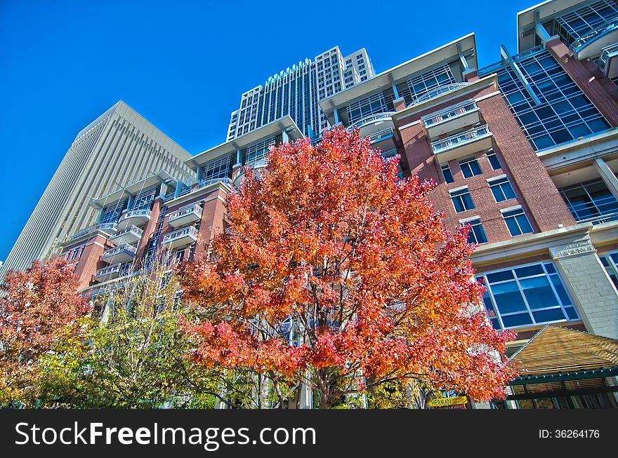 Autumn view of charlotte city skyline. Autumn view of charlotte city skyline