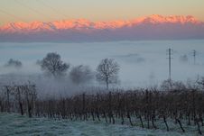 Beautiful Winter Sunrise On A Foggy Morning Stock Images