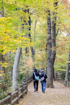 Couple In Colorful Autumn Forest Royalty Free Stock Image Couple In Colorful Autumn Forest Royalty Free Stock Image