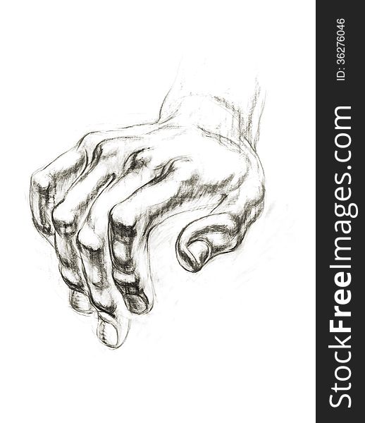 Academic drawing hands of David. Part of body. Hand-drawing in pencil