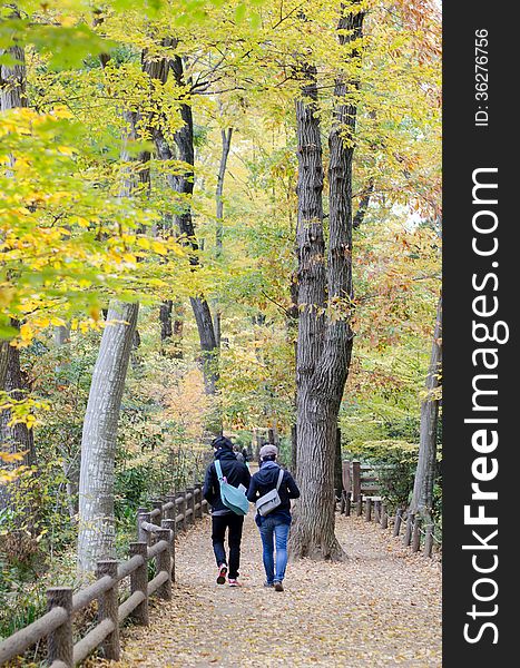 Couple In Colorful Autumn Forest