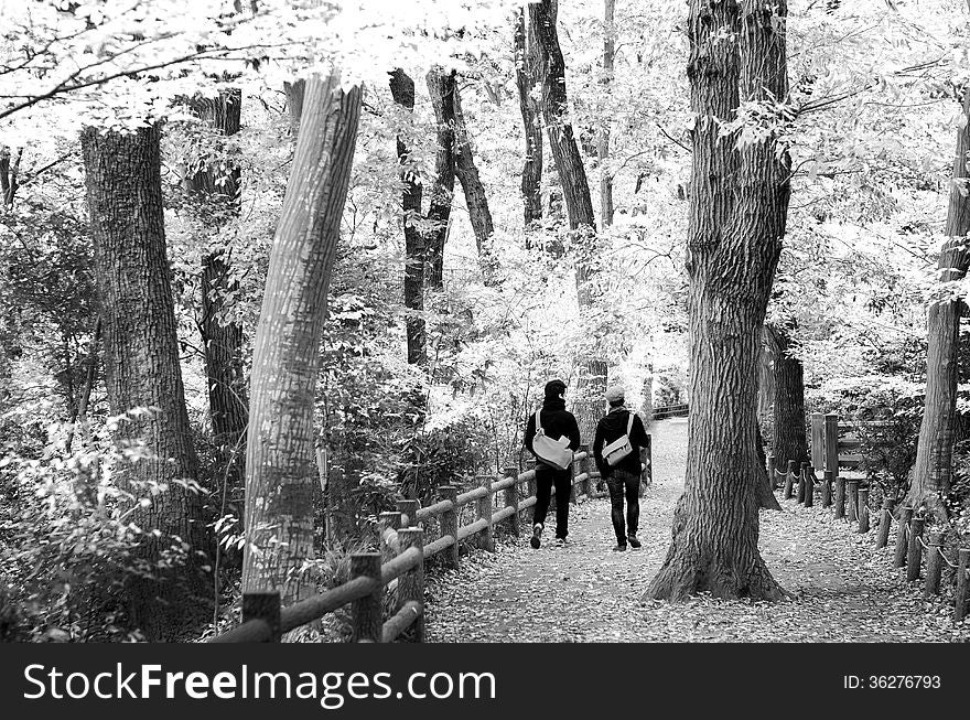 Couple walking in autumn forest, Tokyo, Japan in Black and White