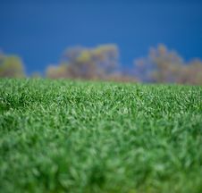Wheat Stock Images Wheat Stock Images