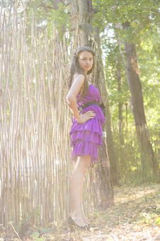Nice Girl In Violet Dress Near Wicker Fence Royalty Free Stock Photos