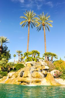 Pool Of Water With Row Of Palm Trees Stock Image