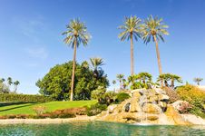Pool Of Water With Row Of Palm Trees Royalty Free Stock Photo Pool Of Water With Row Of Palm Trees Royalty Free Stock Photo