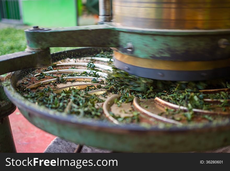 Green tea circular oven dryer machine. Green tea circular oven dryer machine