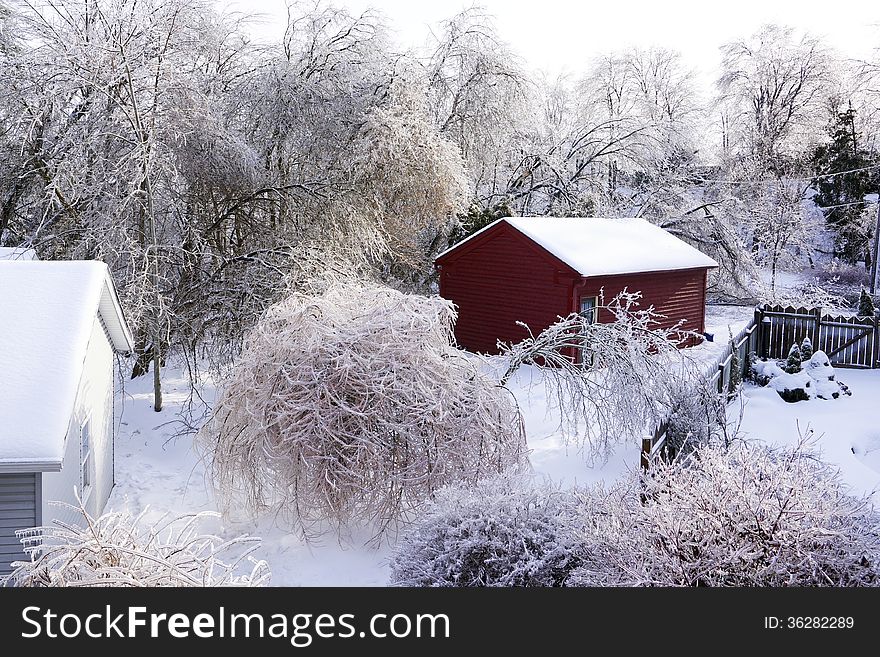 Trees, shrubs and rooftops are cloaked in inches of ice after one of the worst ice storms to hit southern Ontario on December 22, 2013. Trees, shrubs and rooftops are cloaked in inches of ice after one of the worst ice storms to hit southern Ontario on December 22, 2013