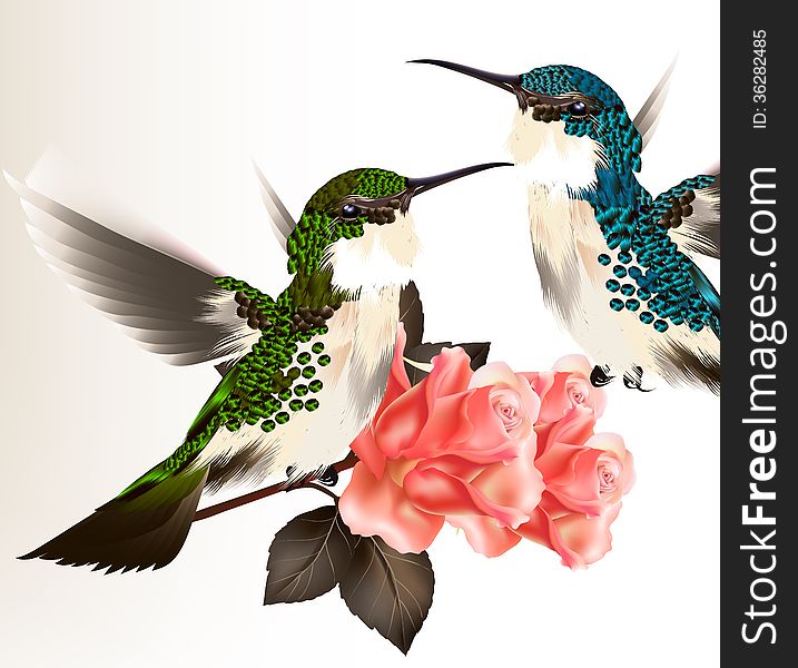 Cute valentine card with couple of humming bird and roses