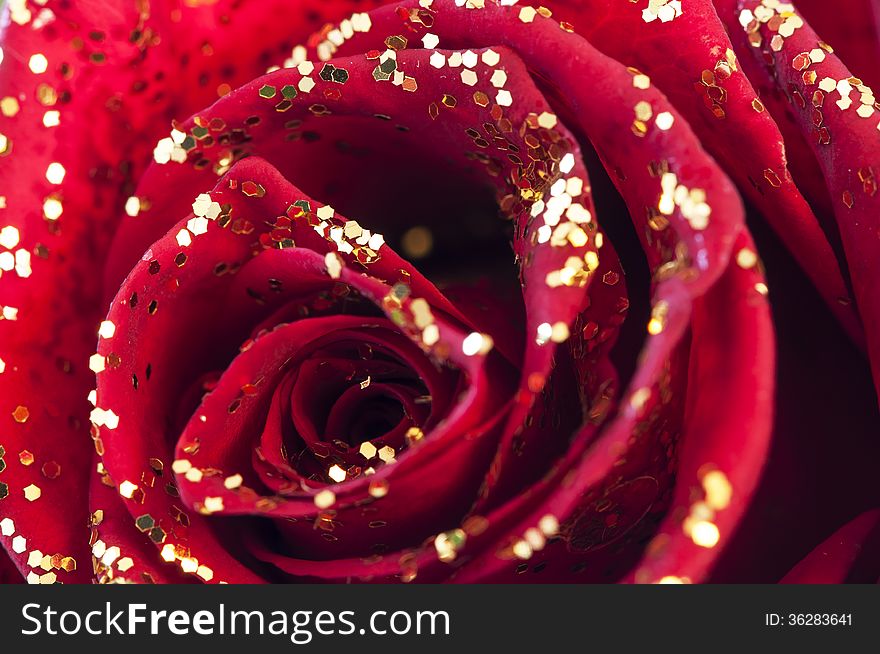 A red rose with gold glitter