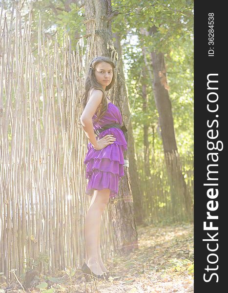 Nice girl in violet dress posing near wicker fence in the forest. Nice girl in violet dress posing near wicker fence in the forest