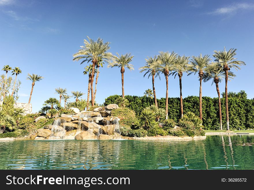 Pool of water with row of palm trees