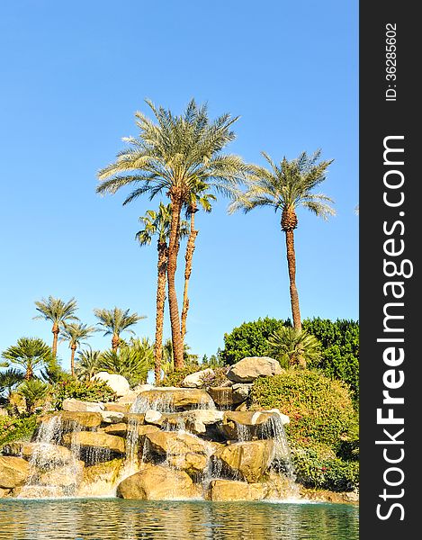 Fountain of water over boulders with row of palm trees. Fountain of water over boulders with row of palm trees