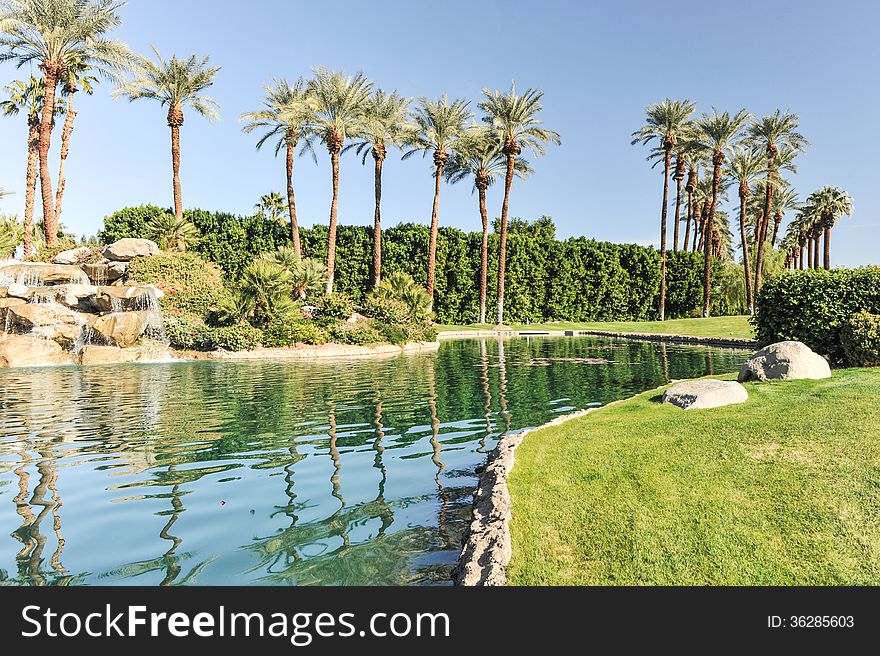 Fountain of water over boulders with row of palm trees. Fountain of water over boulders with row of palm trees