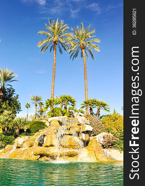 Pool Of Water With Row Of Palm Trees