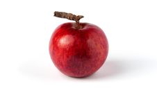 Red Apple Being Eaten - Core And Rough Stem Left Royalty Free Stock Photo Red Apple Being Eaten - Core And Rough Stem Left Royalty Free Stock Photo
