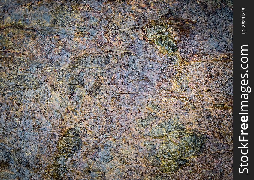 Wet rock texture from a fresh rain shower. Wet rock texture from a fresh rain shower