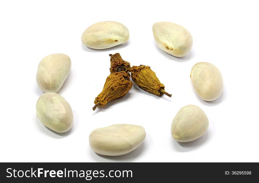 Jackfruit seeds and The dry seeds over white backgruind.