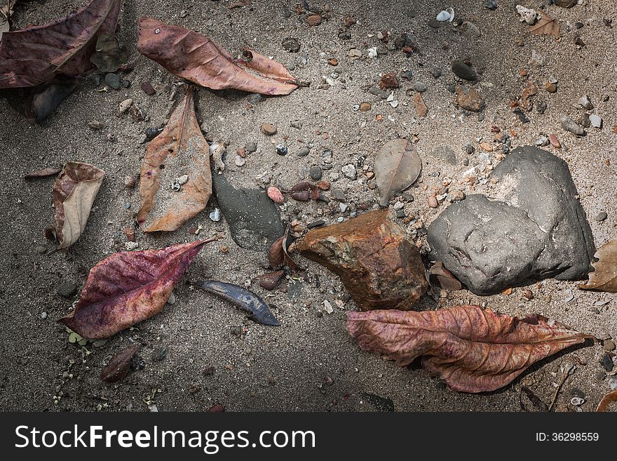 Dry Leaf And Stone On The Sand