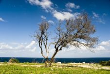 Tropical Wind On The Sea With Clouds Royalty Free Stock Photography Tropical Wind On The Sea With Clouds Royalty Free Stock Photography