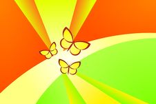 Summer Butterflies Royalty Free Stock Images