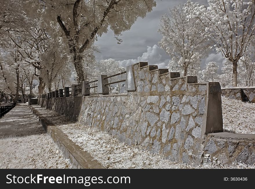 Infrared photo â€“ tree, skies and wall in the parks