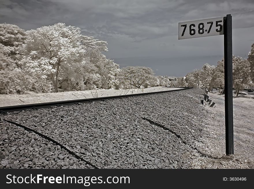 Infrared photo- tree, skies and train track in the urban