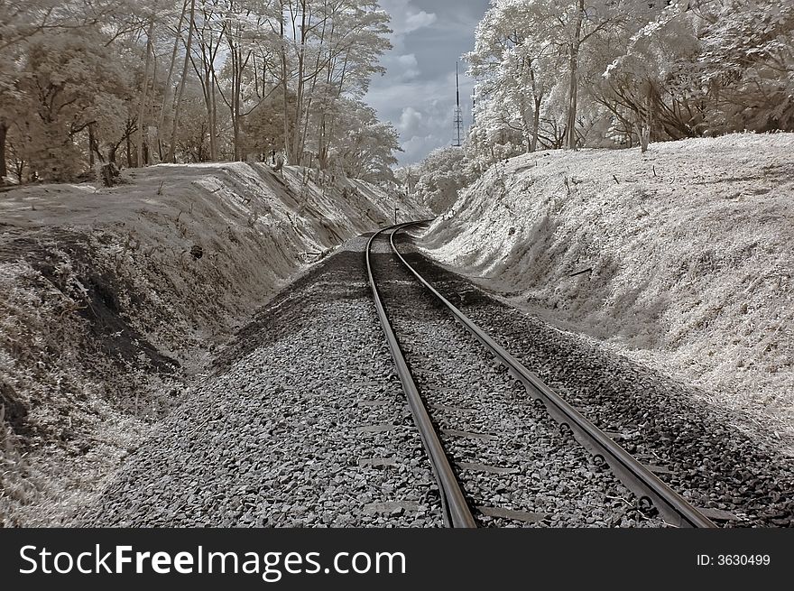 Infrared photo- tree, skies and train track in the urban