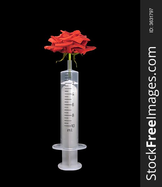 Syringe with rose