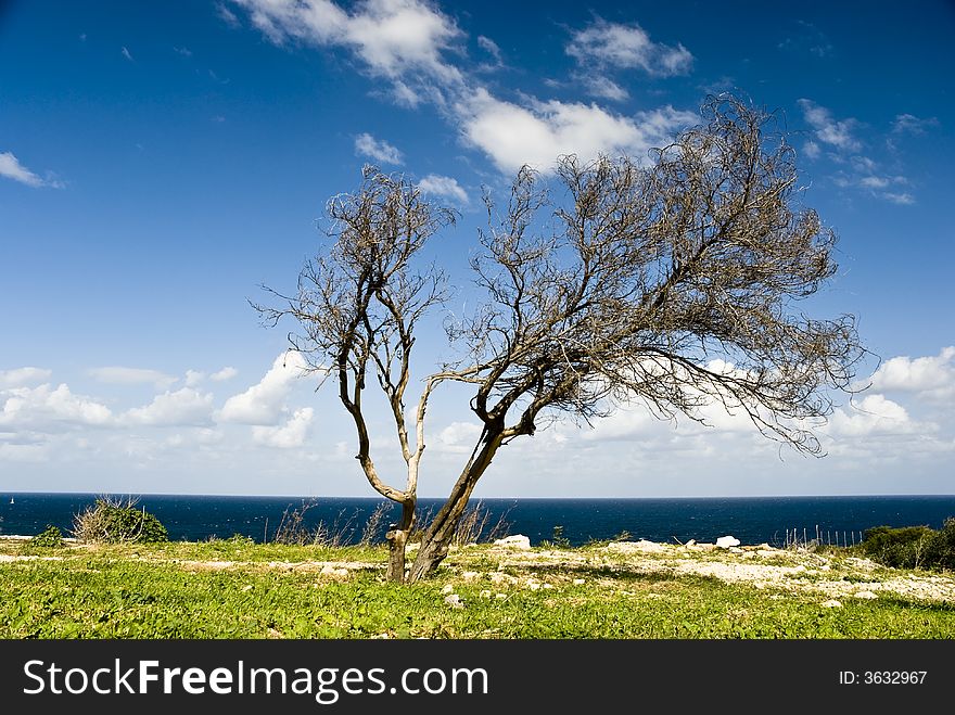 Tropical wind on the sea with clouds.