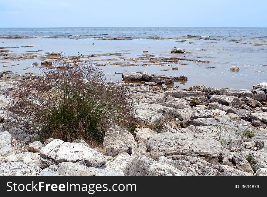 A lone patch of grass on the shore of Lake Michigan. A lone patch of grass on the shore of Lake Michigan