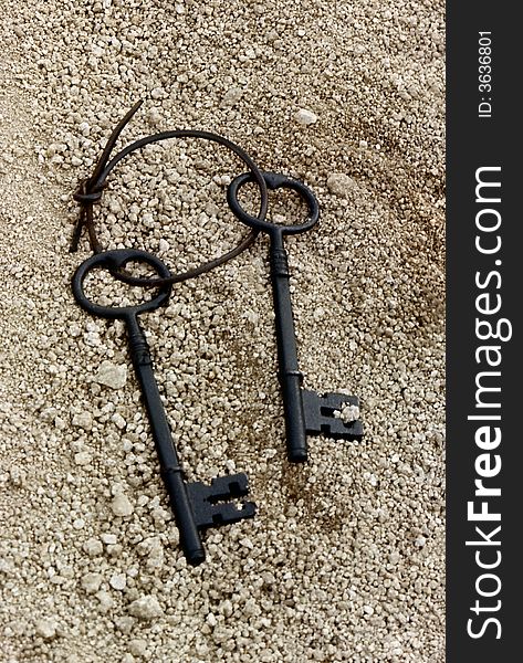 Large keyring with two large keys. Large keyring with two large keys.