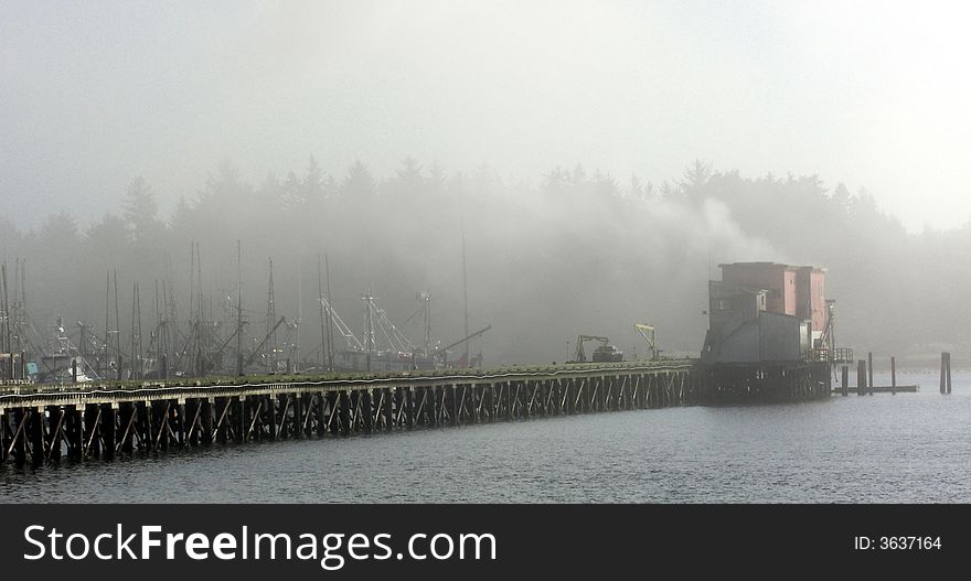 A foggy morning at Coos Bay