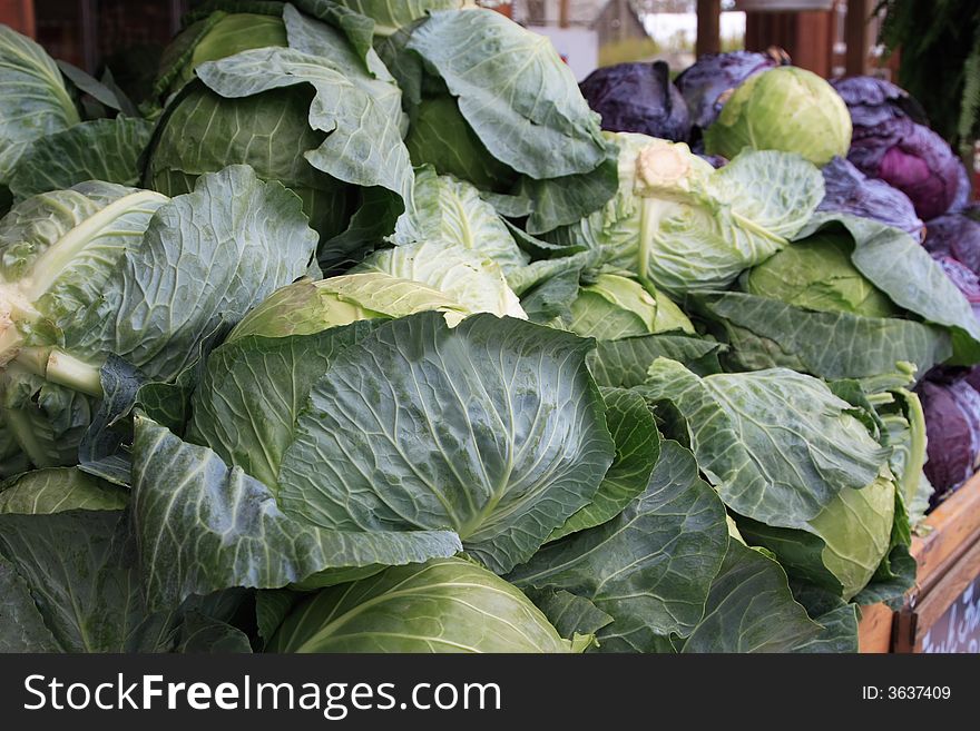 Fresh picked cabbage at a road side farm stand