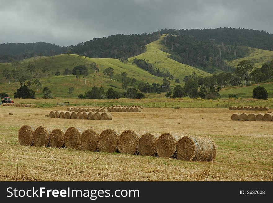 Hay rolls in QLD Australia