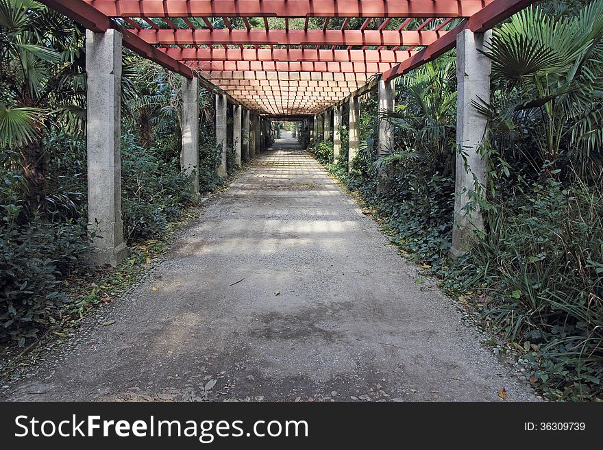 Pergola passage in the garden, surrounded by various trees and plants