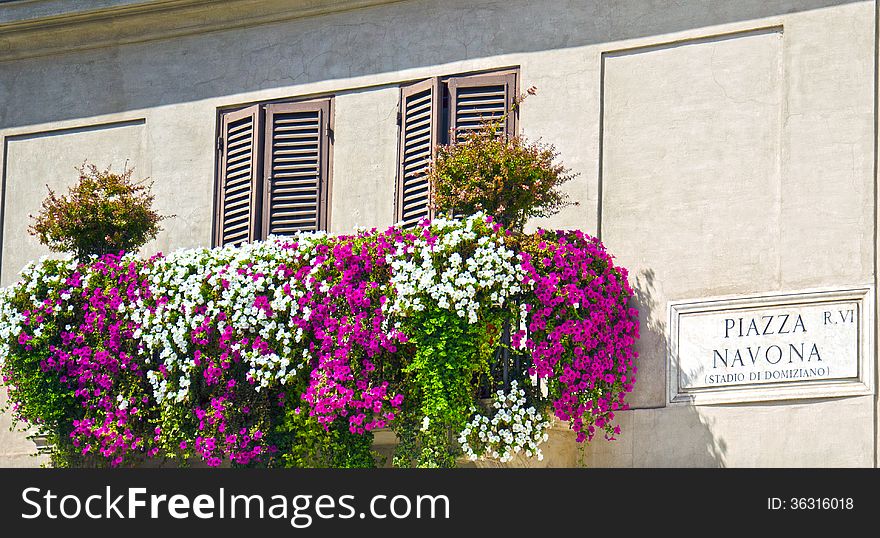 Flowers at a balcony to the Navona Square, Rome, Italy. Flowers at a balcony to the Navona Square, Rome, Italy.